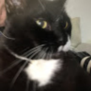 Meet your Posher, Vicky